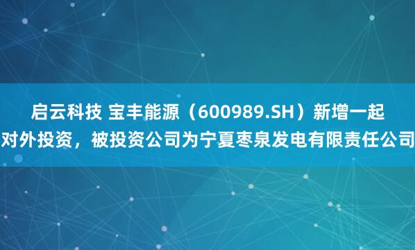 启云科技 宝丰能源（600989.SH）新增一起对外投资，被投资公司为宁夏枣泉发电有限责任公司