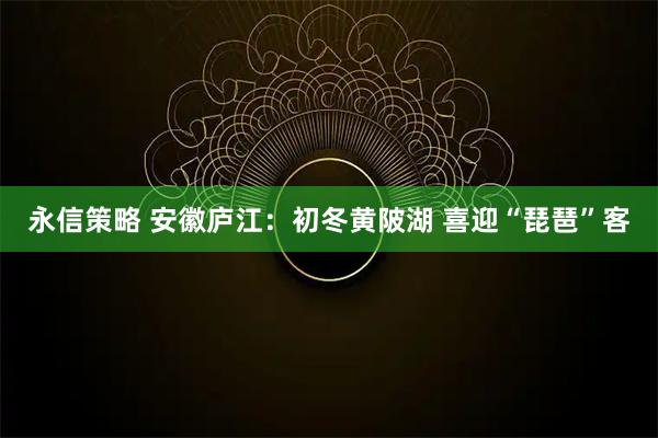 永信策略 安徽庐江：初冬黄陂湖 喜迎“琵琶”客