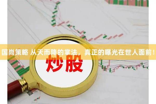 国尚策略 从天而降的掌法，真正的曝光在世人面前！