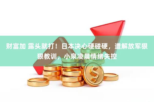 财富加 露头就打！日本决心硬碰硬，遭解放军狠狠教训，小泉凌晨情绪失控