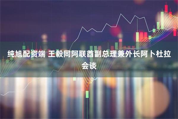 纯旭配资端 王毅同阿联酋副总理兼外长阿卜杜拉会谈