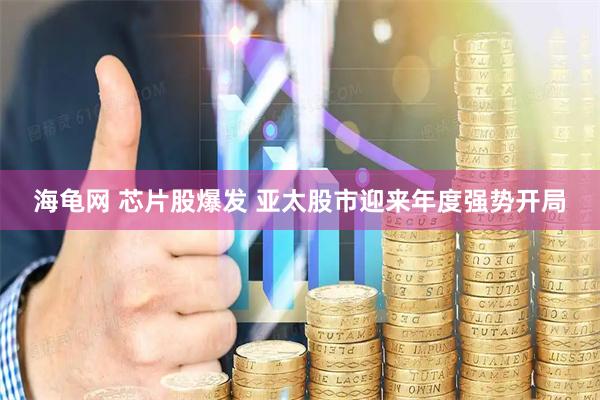 海龟网 芯片股爆发 亚太股市迎来年度强势开局