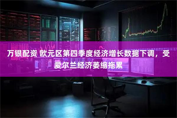 万银配资 欧元区第四季度经济增长数据下调，受爱尔兰经济萎缩拖累