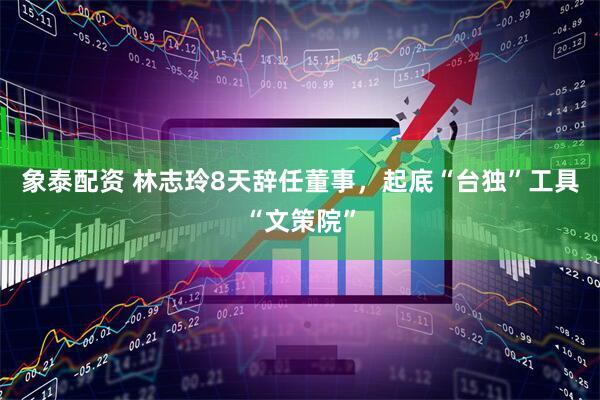 象泰配资 林志玲8天辞任董事，起底“台独”工具“文策院”
