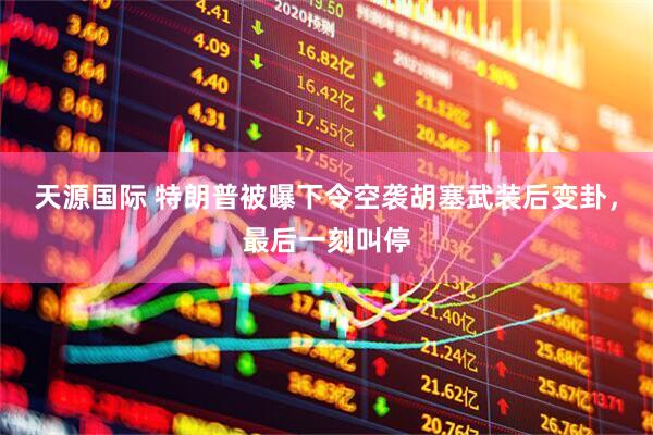 天源国际 特朗普被曝下令空袭胡塞武装后变卦，最后一刻叫停